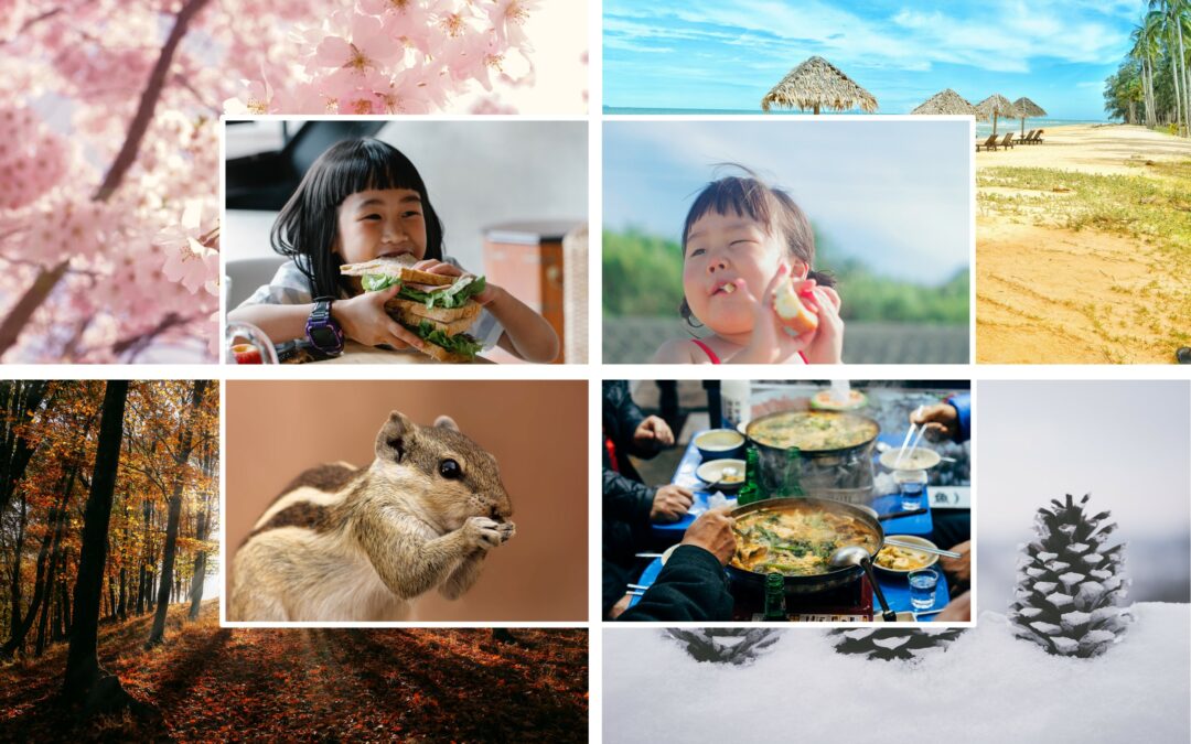 Au rythme des saisons