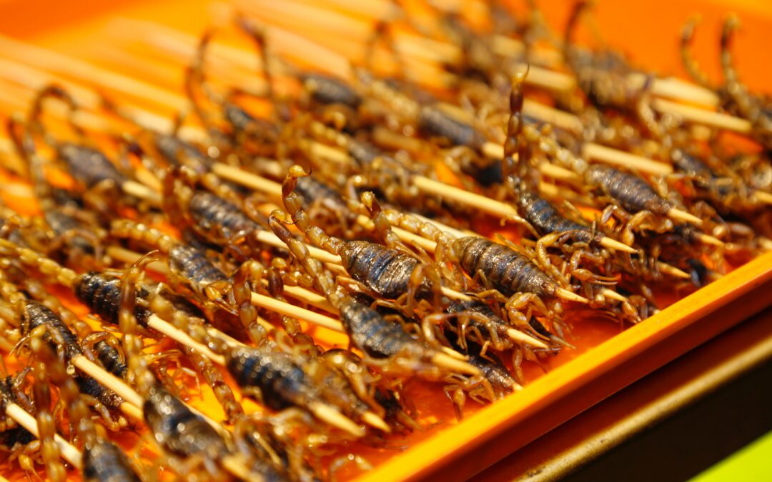 Plutôt scorpion ou un autre insecte 😜 ?