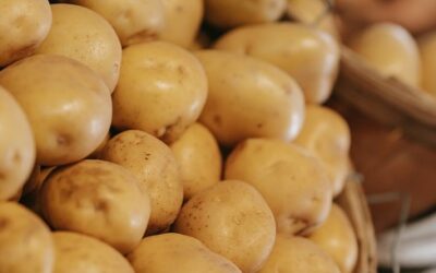 Quel pays est le plus gros producteur de pommes de terre au monde ?