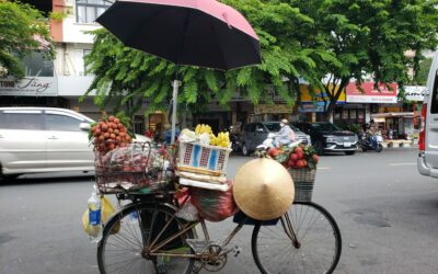 Acheter des fruits au Vietnam