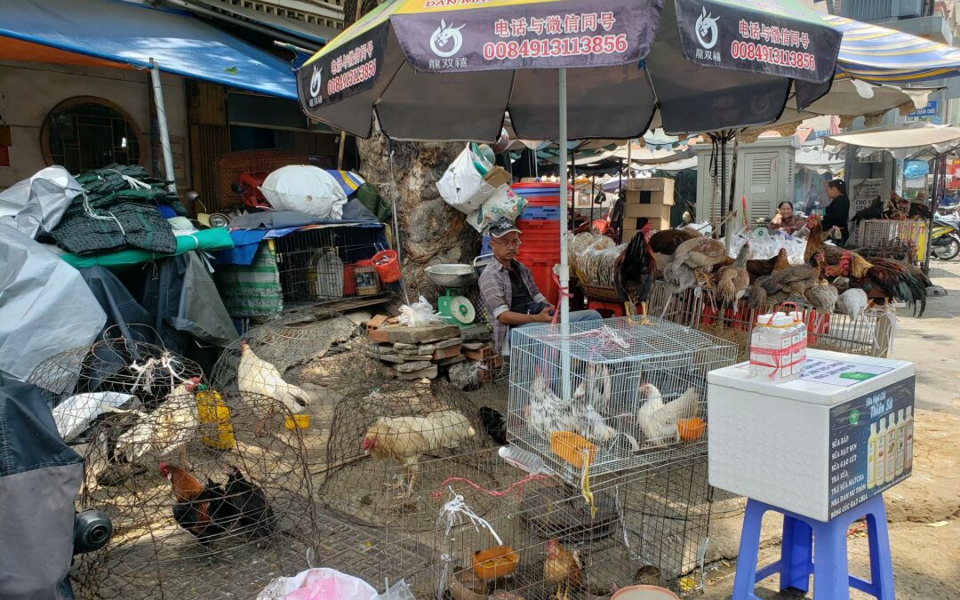 China town au Vietnam