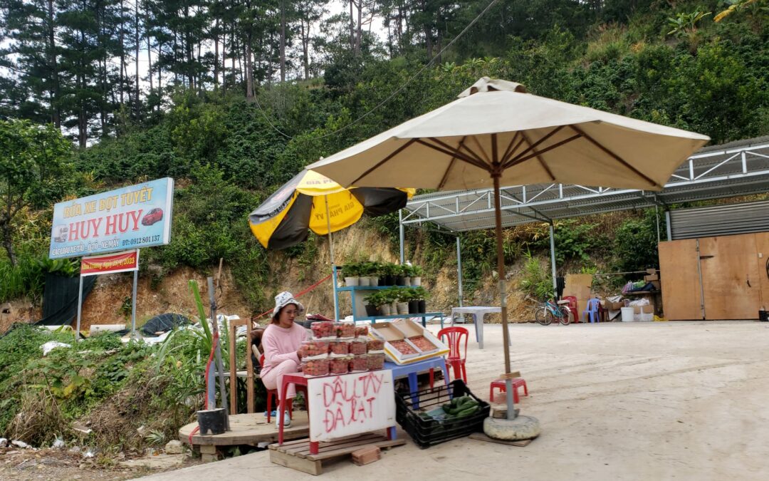 Des fraises au Vietnam