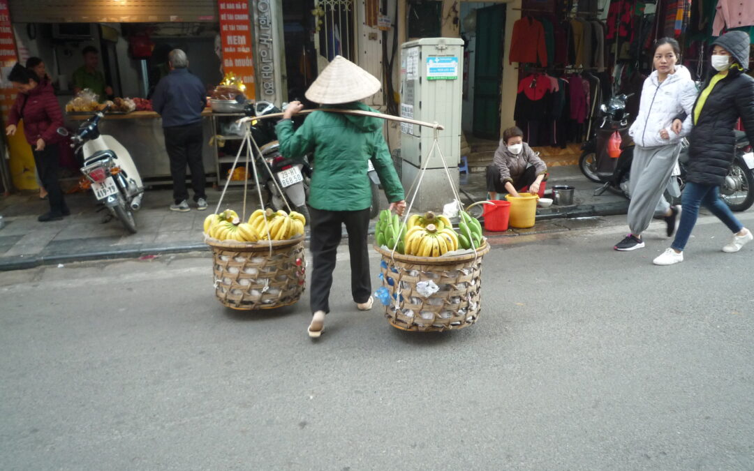 La banane au Vietnam