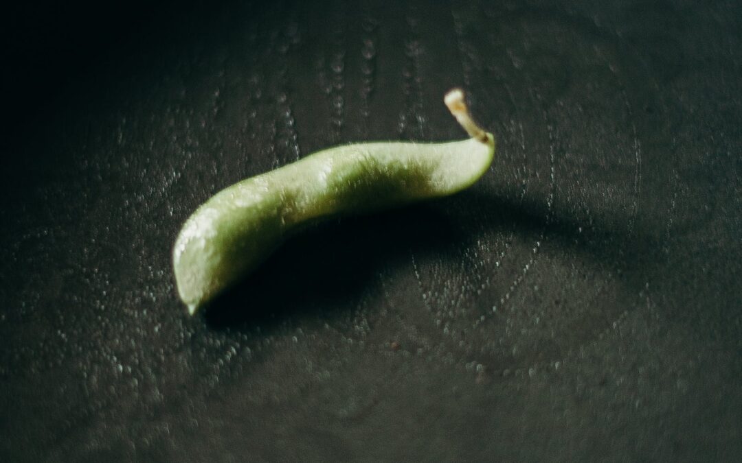 Répertoire expressions : La fin des haricots