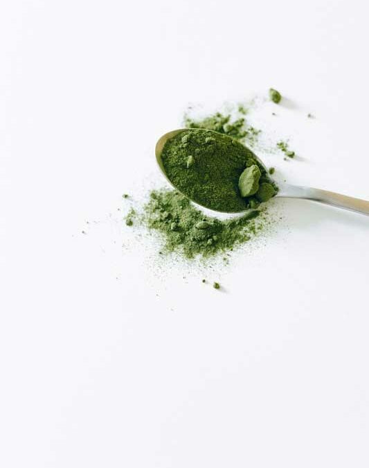 Pourquoi le matcha est assez cher ?