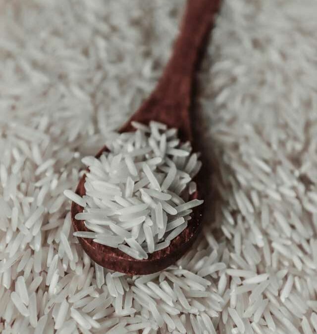 Les riz&rsquo;tes du riz !