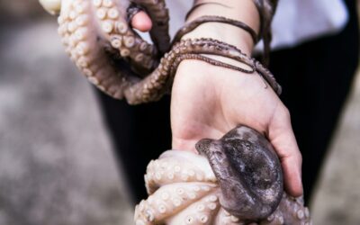 Plat insolite : manger du poulpe vivant, ça se fait en Corée du Sud !