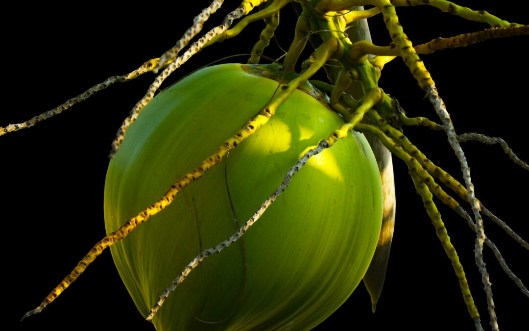 matamis na bao, confiture de coco philippine