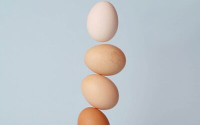 Haikus – L’art de boire et de manger