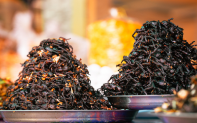 Le plat insolite du Cambodge