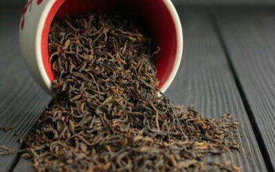 Fun Fact – Sri Lanka